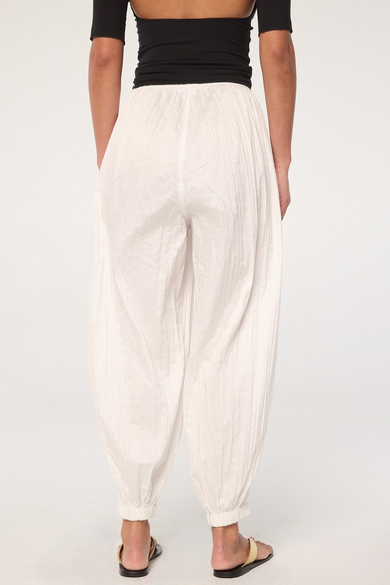 Louis - Image 5